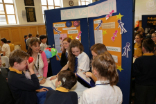 Science Fayre 2014